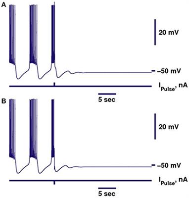 Propensity for Bistability of Bursting and Silence in the Leech Heart Interneuron